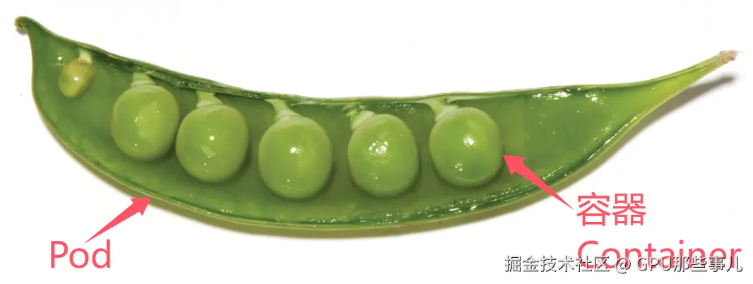 Pasted image 20250213163519.png