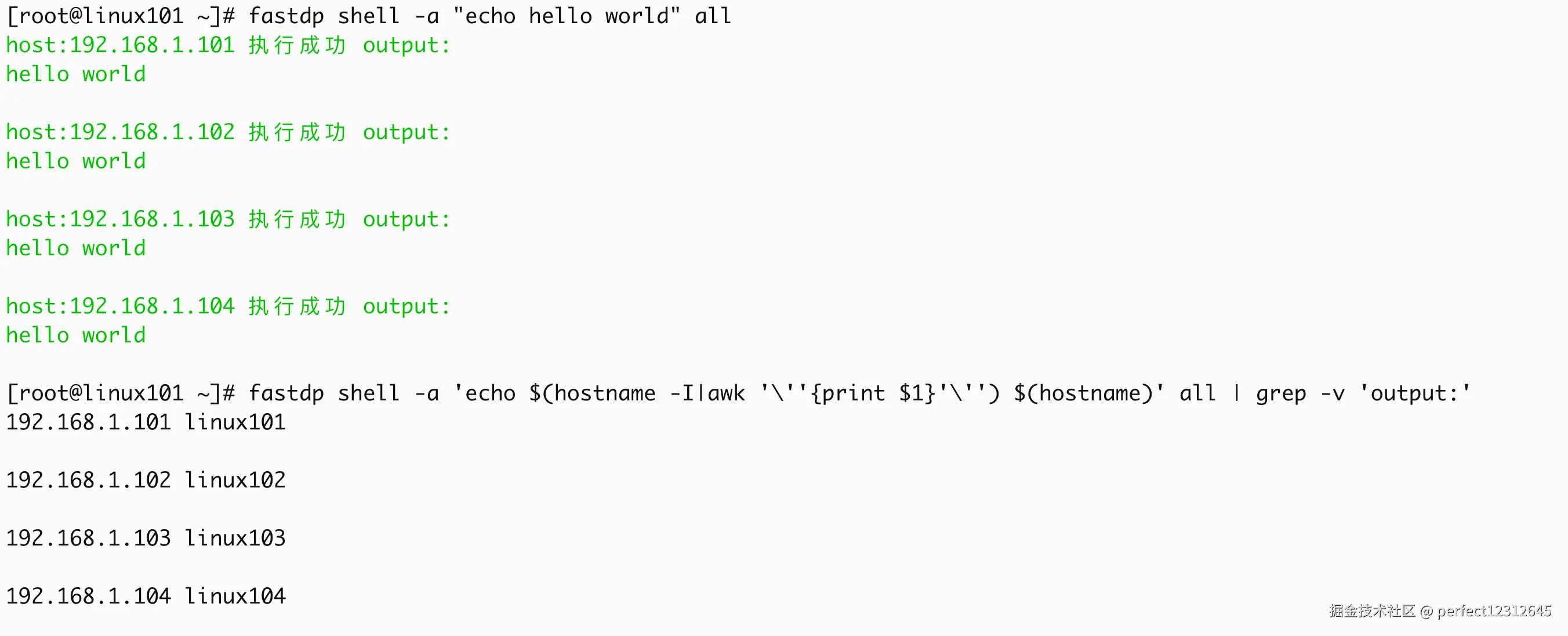shell.png