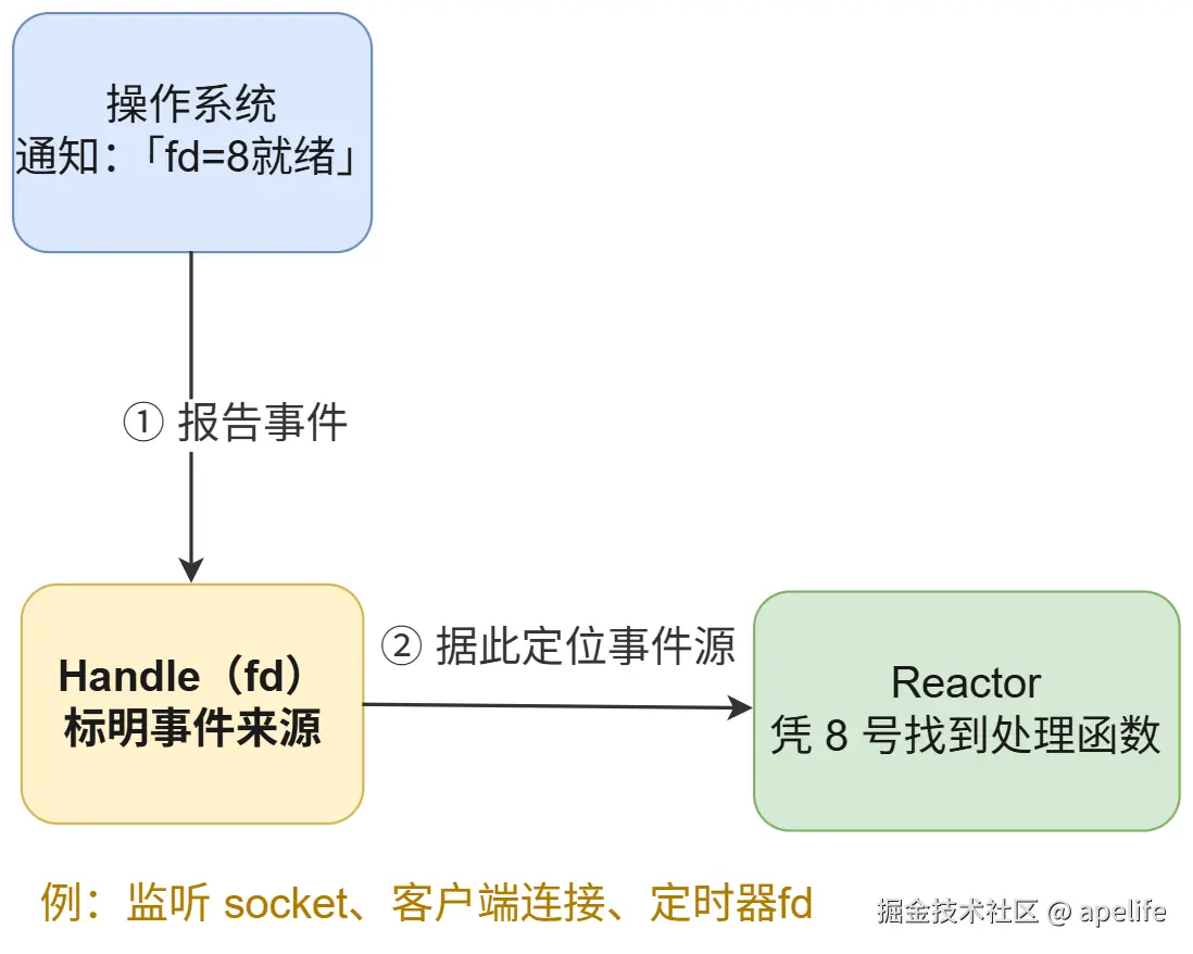 Handle(文件描述符)