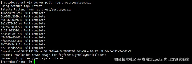 image-20240206163602086