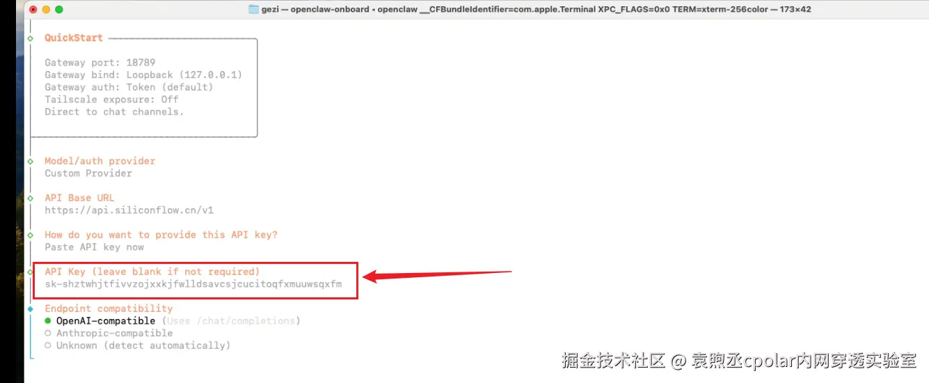 image-20260308215617663