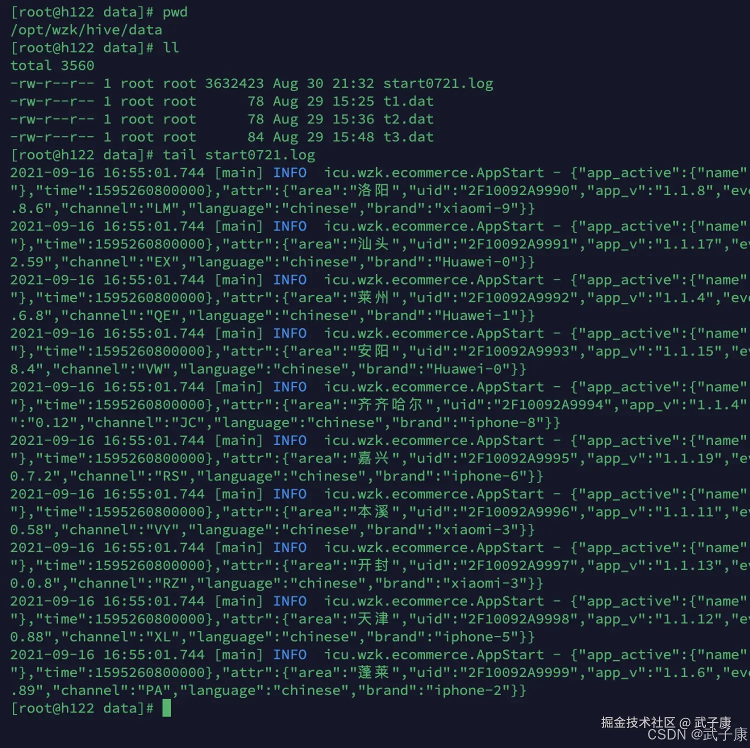 离线数仓 查看启动的日志