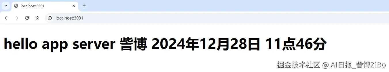 image-20241228114824418