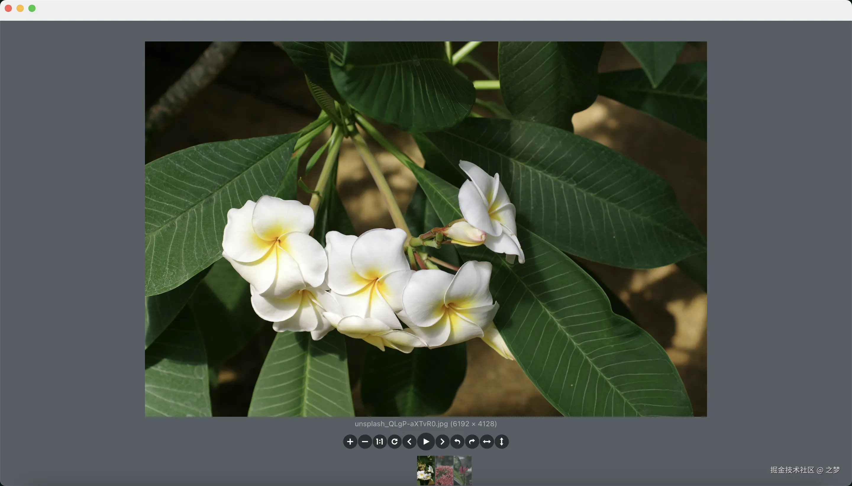 fbw_viewer_window.png