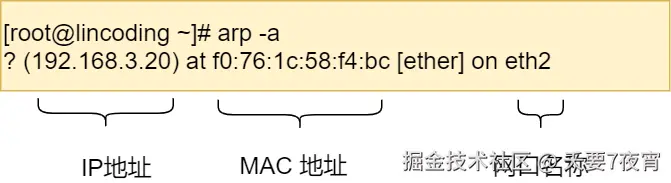 ARP 缓存内容