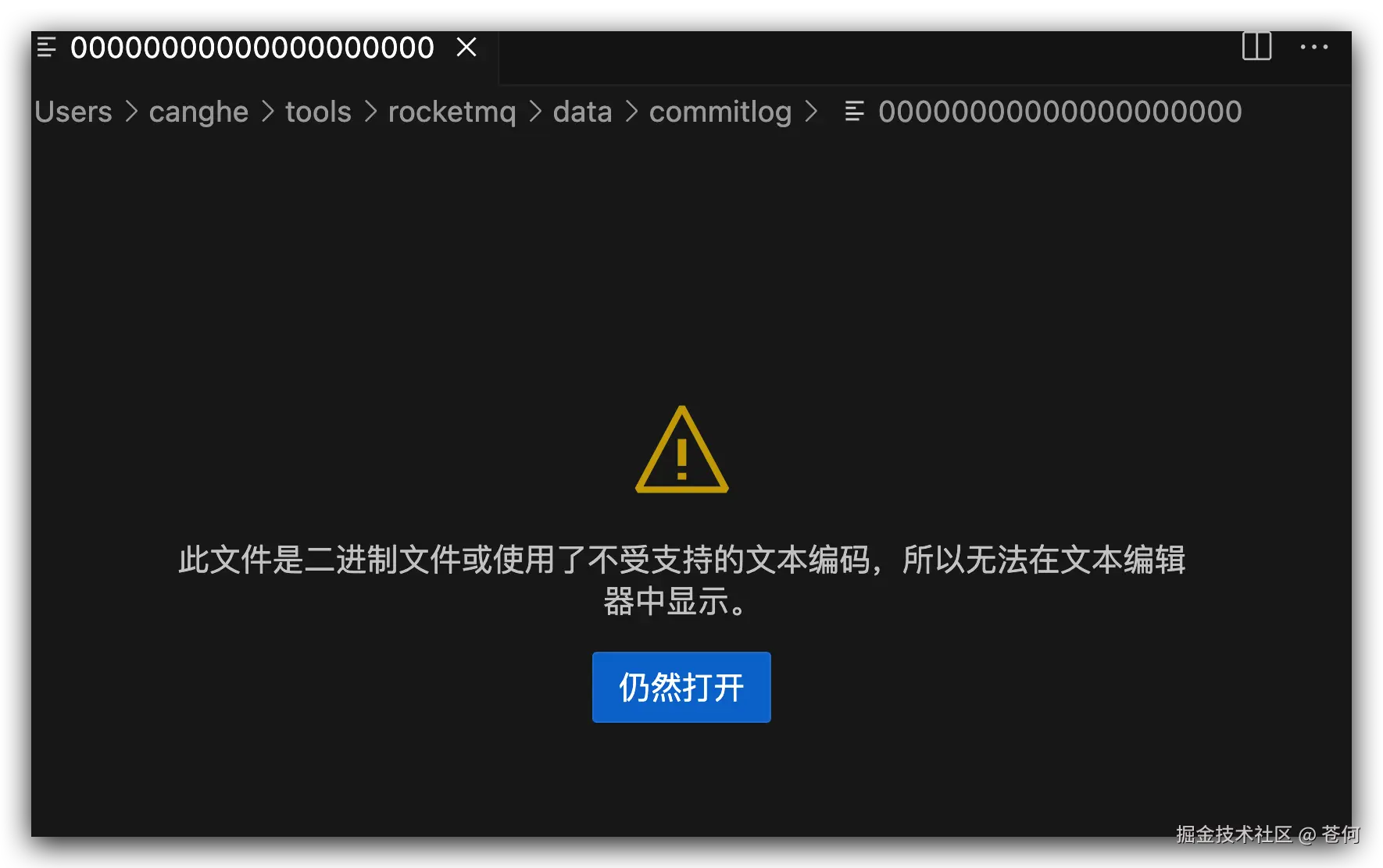 commitLog是个二进制文件