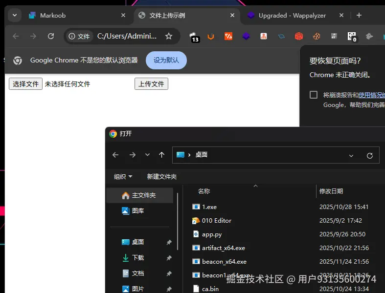 image-20251211204816452.png