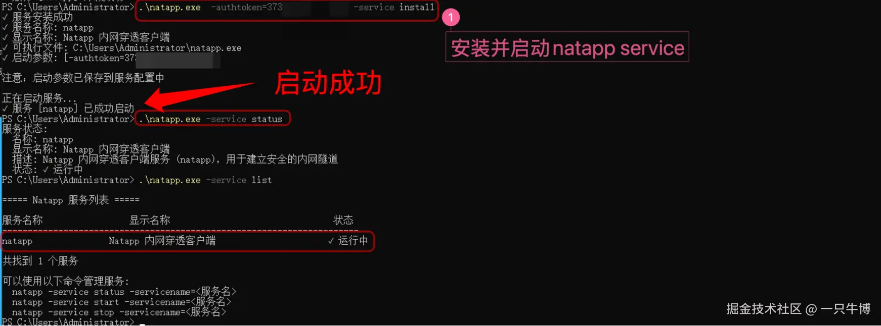 Natapp 已作为 Windows 系统服务运行