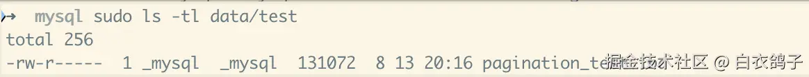 mysql-8-file-db.png