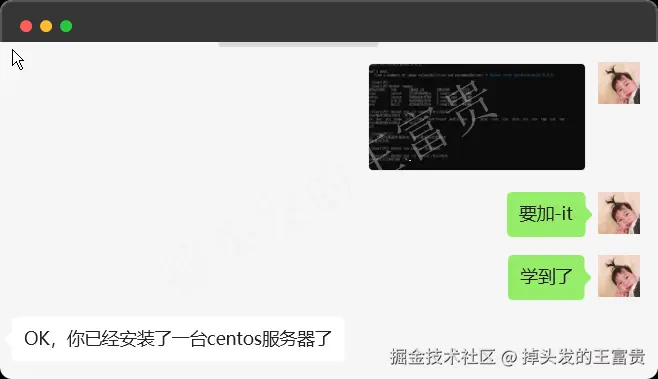 image-20240815195420099