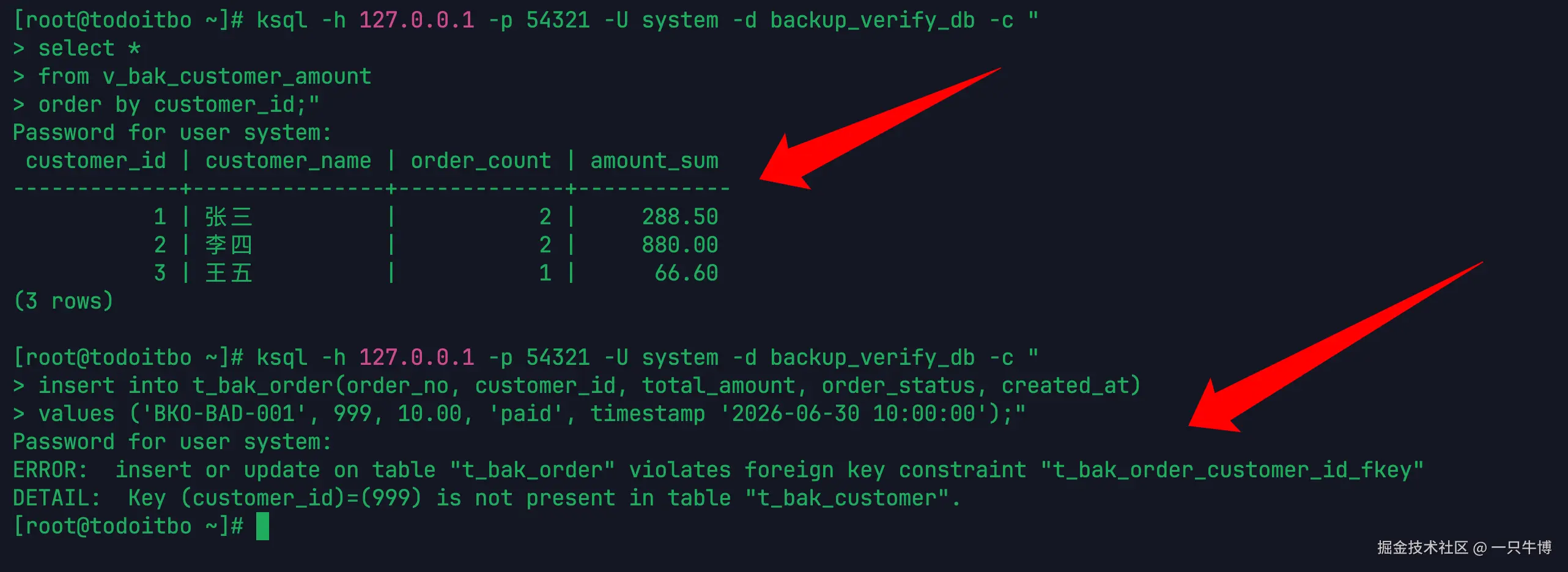 Business query and foreign key constraint in verification database