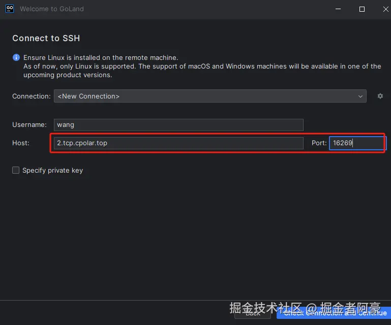 image-20240103135009331