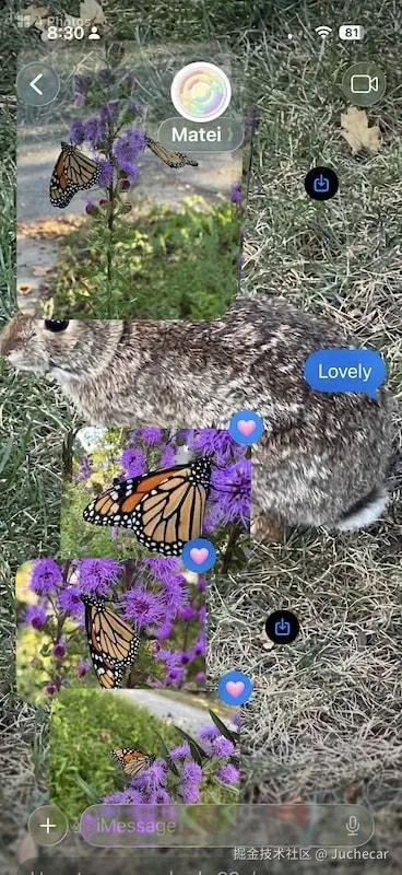 iMessage 界面混乱