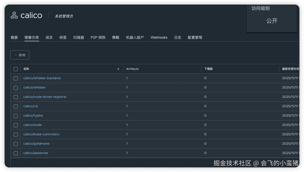 image-20251111163759628