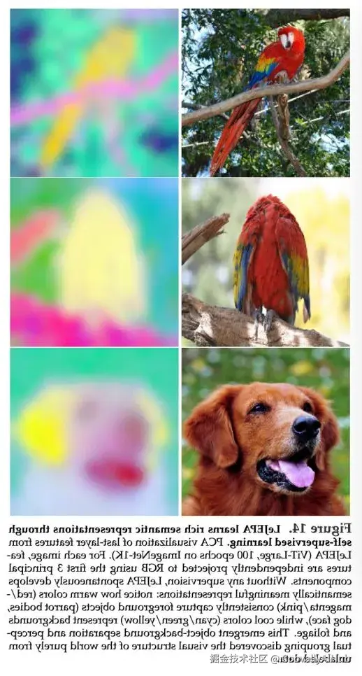 图片14.png