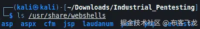 图 12.28 – webshells