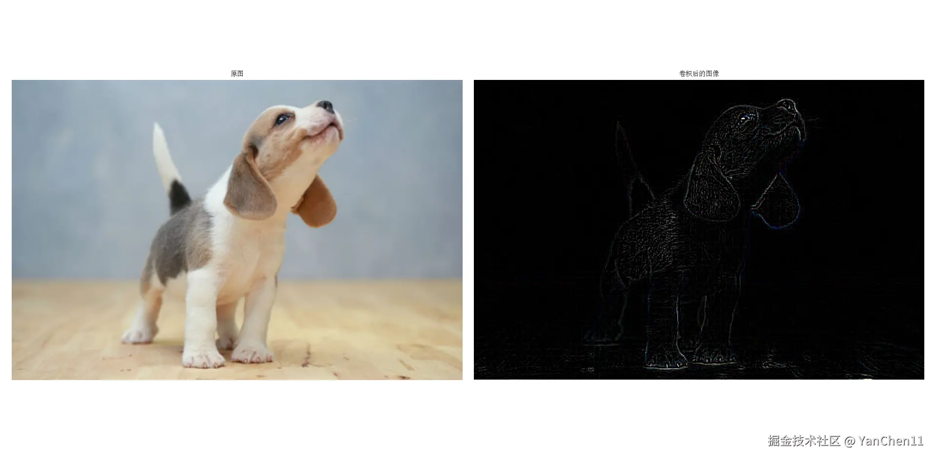 图像卷积前后效果.png