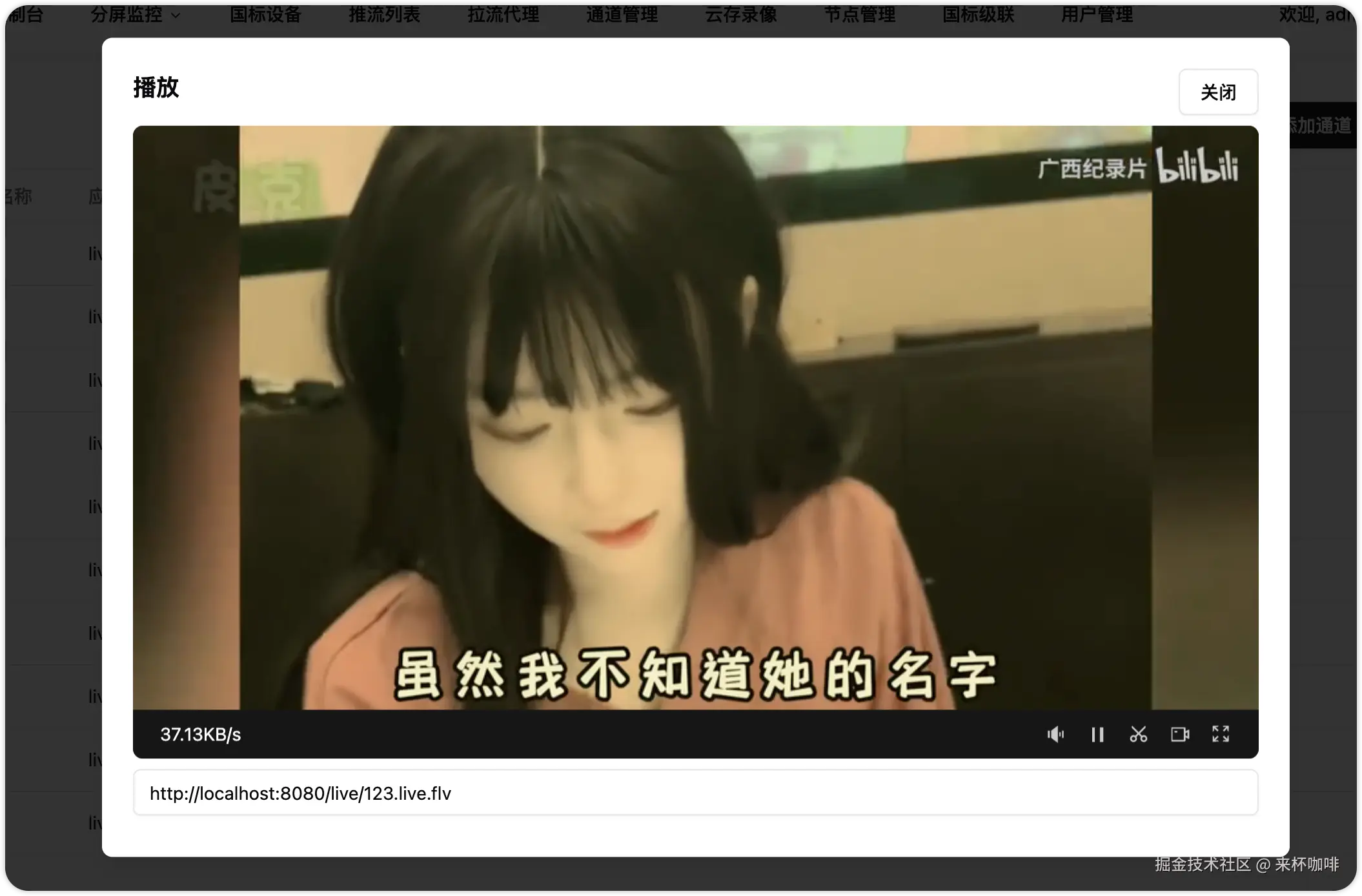 image-20250121171127764