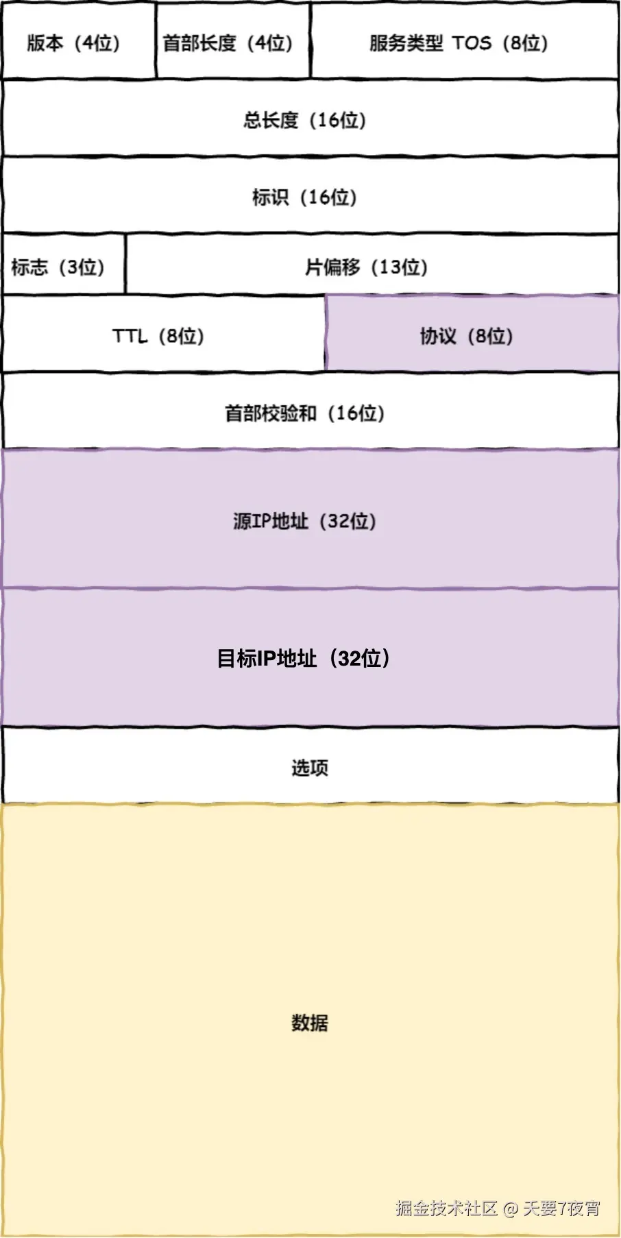 IP 包头格式