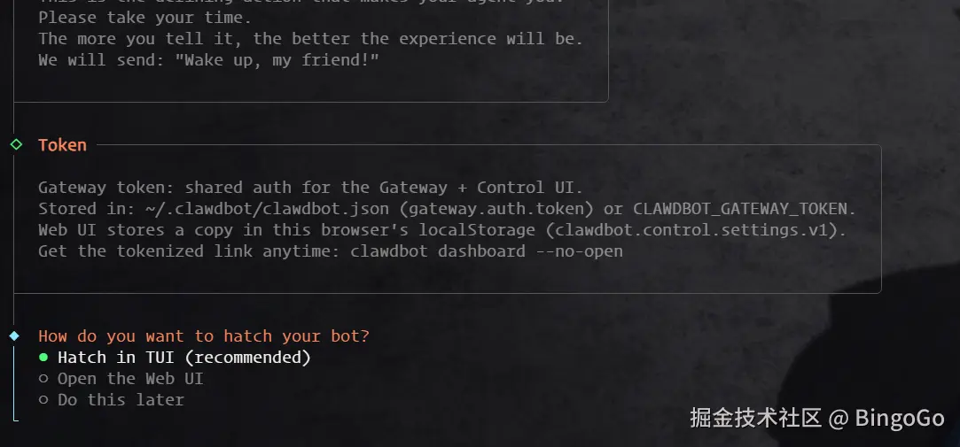 Clawedbot 选择 TUI 终端界面