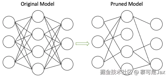 prune.png