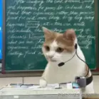 屏幕截图 2025-01-03 223236.png