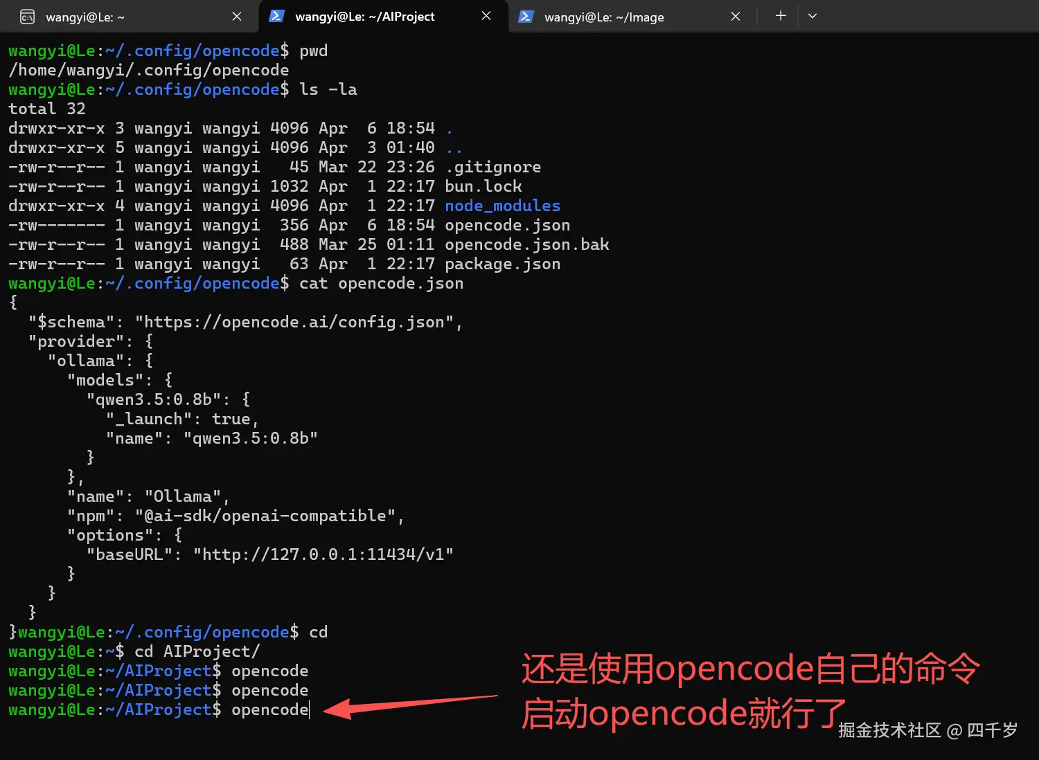 继续使用opencode自带的命令启动opencode