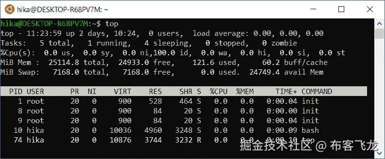 图 2.5 – 基于 Linux 系统的活动进程列表