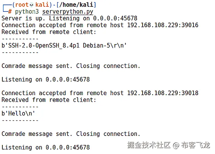图 8.6 – 运行我们的 Python 服务器