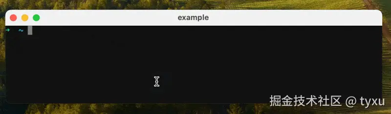 xterm.gif