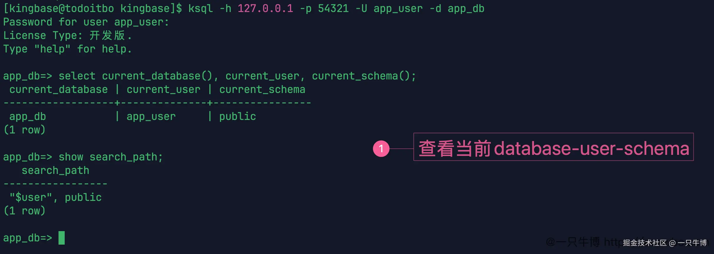 查看当前 database user schema