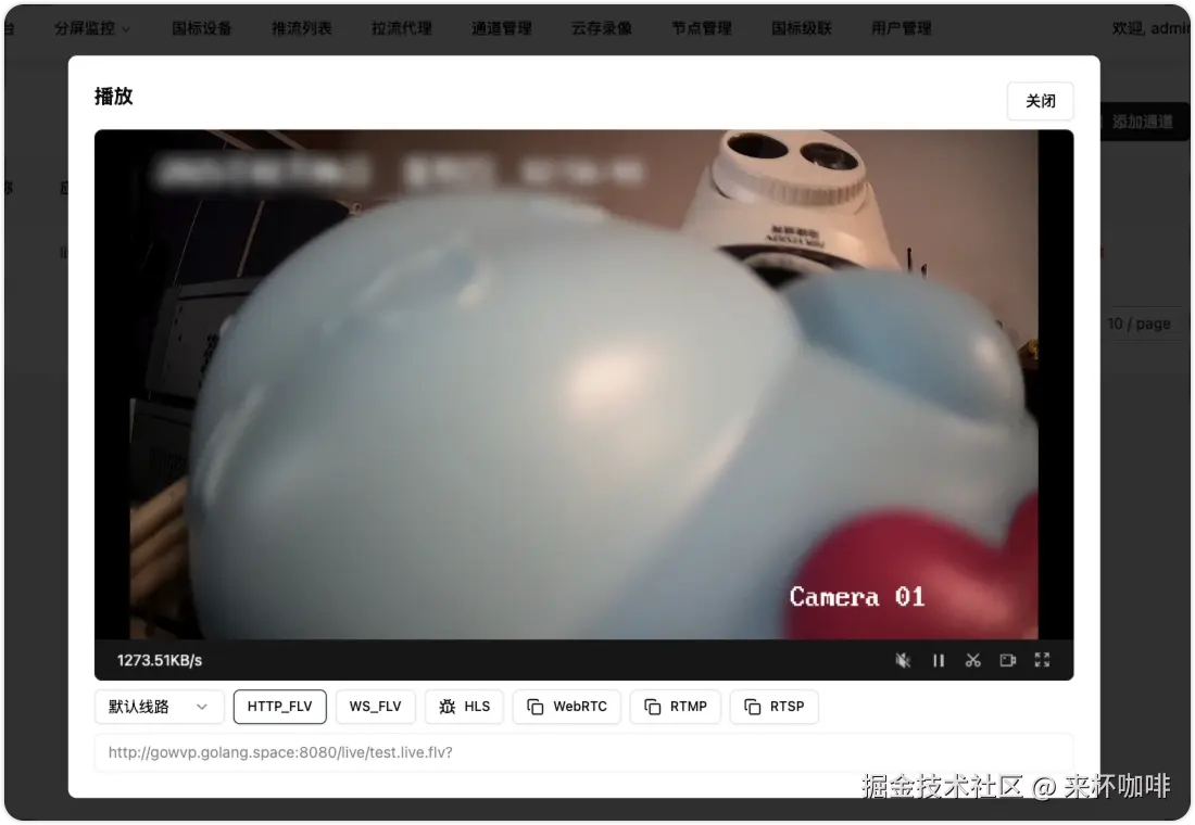 image-20250206125739924