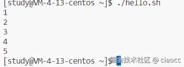 image-20240108161122686