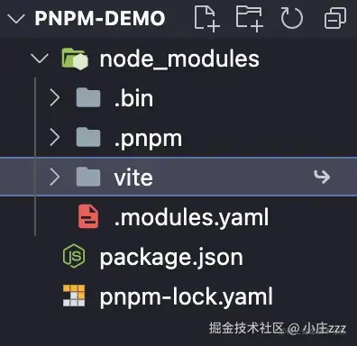 pnpm-demo.png