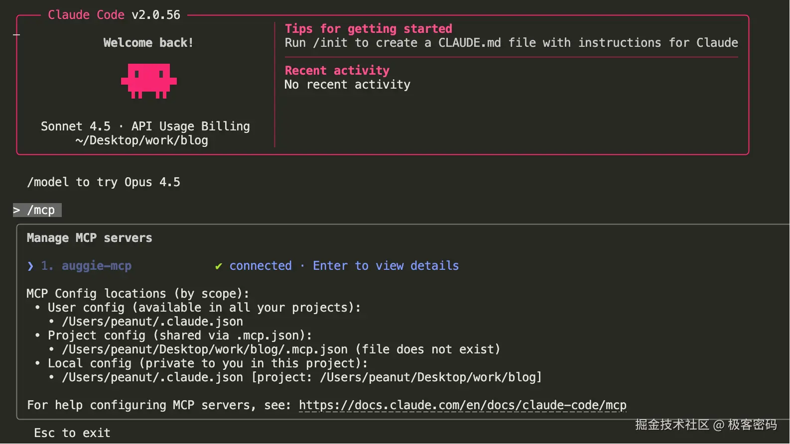  查看 mcp 服务状态