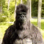 点赞.gif