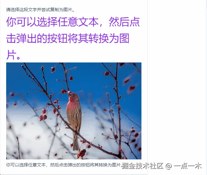 保存为图片.gif