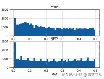 Figure 6.5 - A MAF histogram for the YRI and JPT populations 