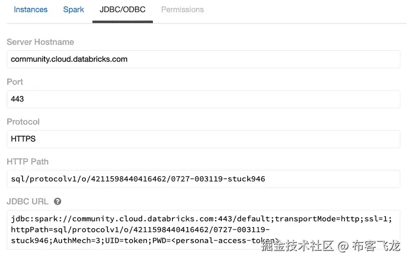 图 13.1 – Databricks JDBC/ODBC 接口