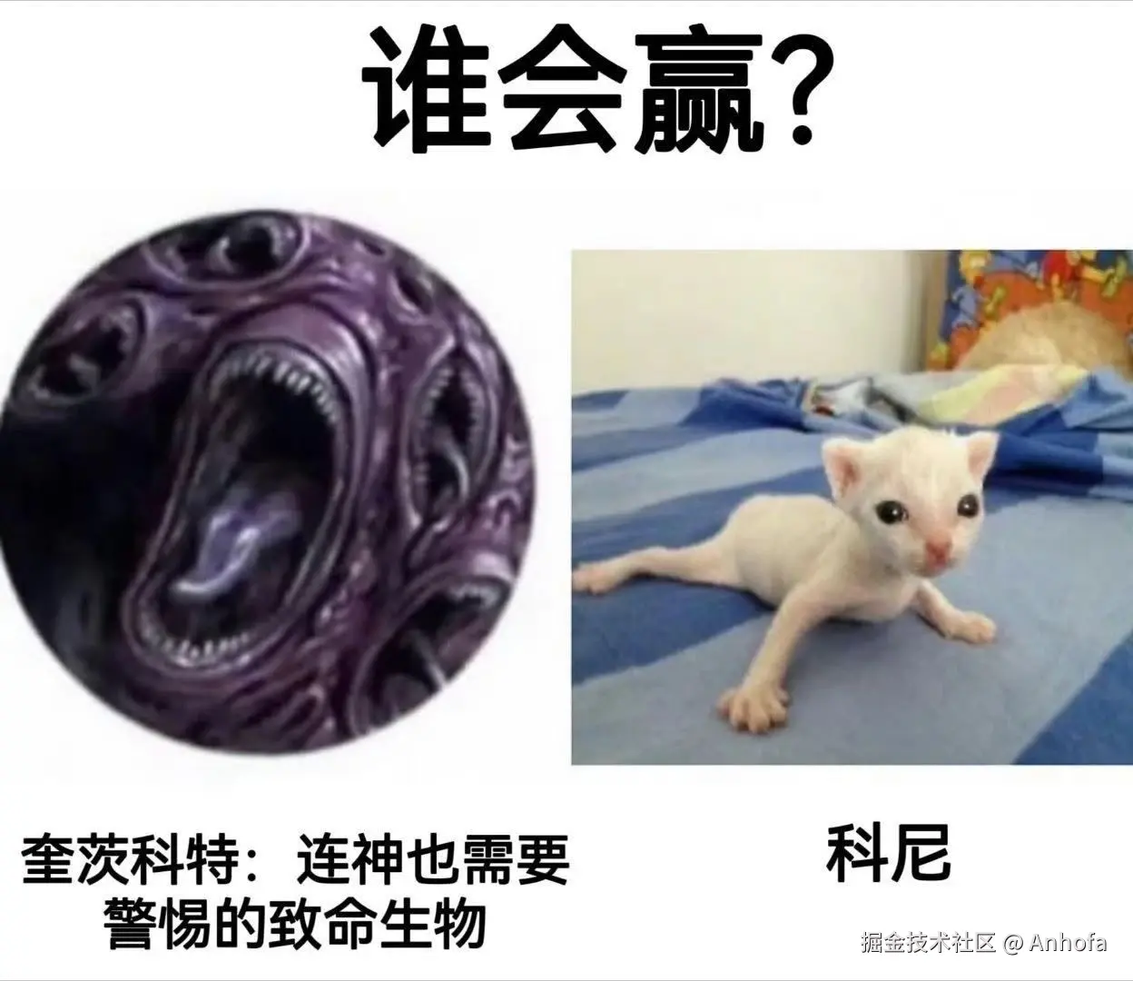 lQDPKIJNwTckVW_NBDjNBOCwnns13sqruWYH_lLIlkaiAA_1248_1080.jpg