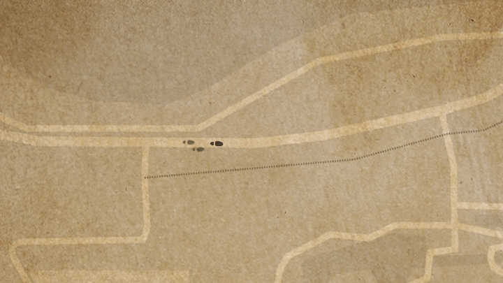 track.gif
