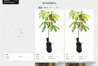 动图封面