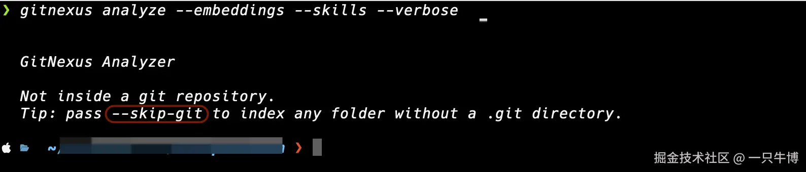 Non-Git Directory Error