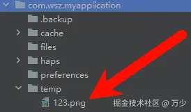 image-20241025220456712