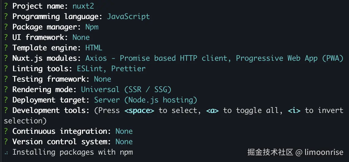 init-nuxt2项目.png