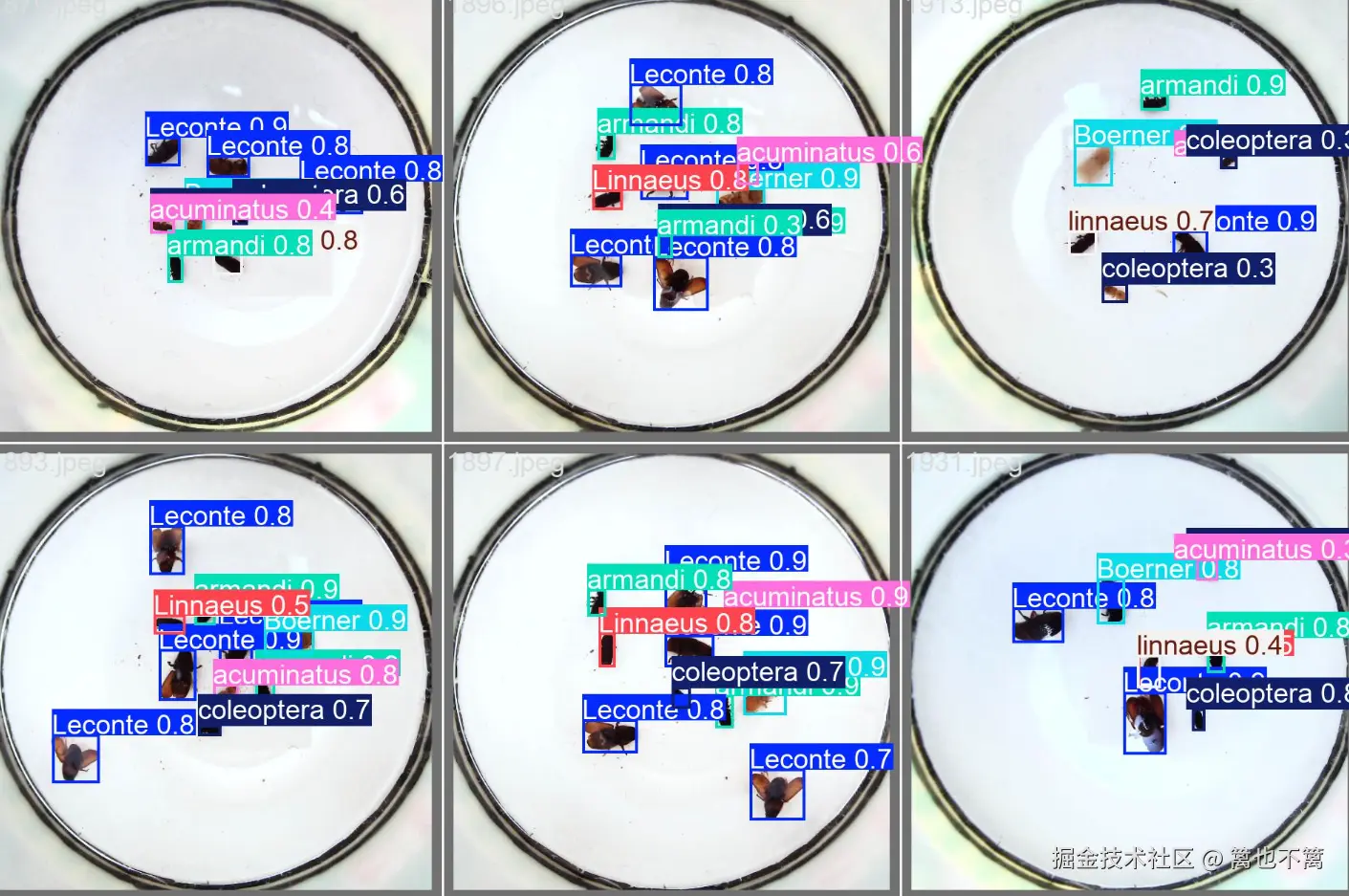 image-20250719165324785