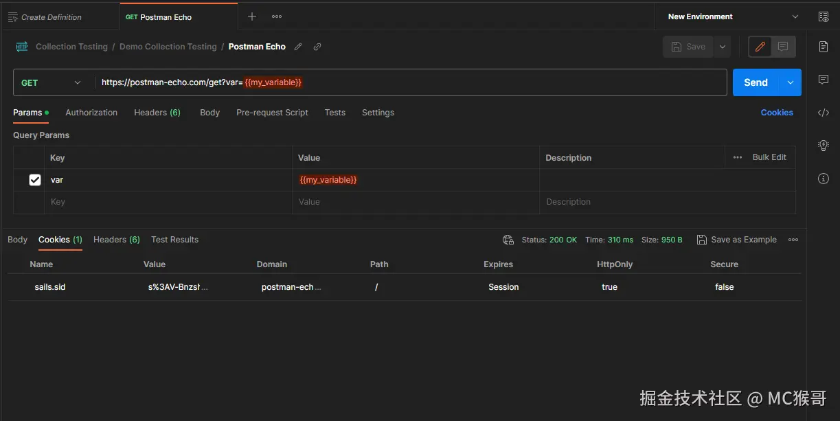 Postman 集合变量