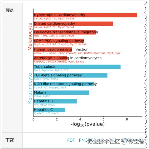 fig7.png